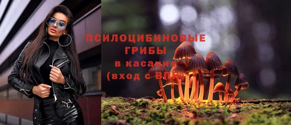 марки lsd Переславль-Залесский