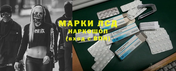шишки Михайловка