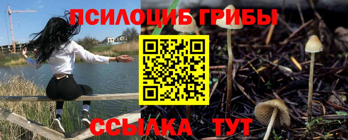 Псилоцибиновые грибы мицелий Сегежа