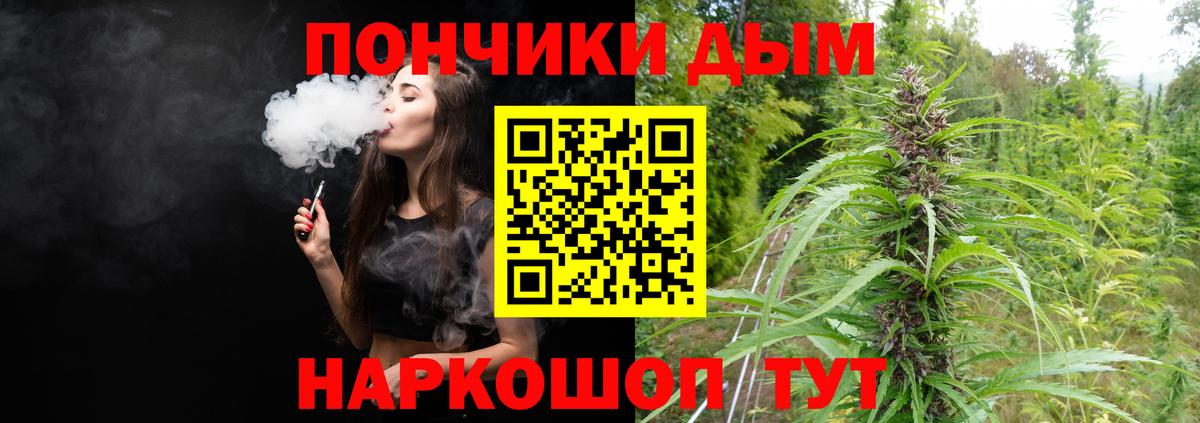 Марихуана план Сегежа